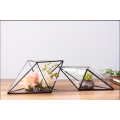 Hurtownia szklanych wazonów Martini Glass Terrarium roślin